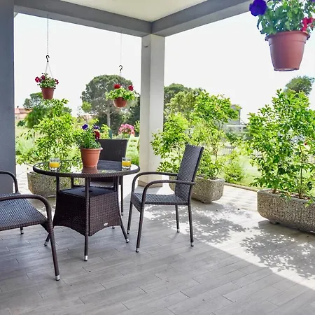 Ground Floor With Spacious Backyard Pensjonat 3*